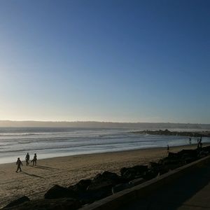 Meet your Posher, Sasha